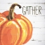 Picture of GATHER PUMPKIN