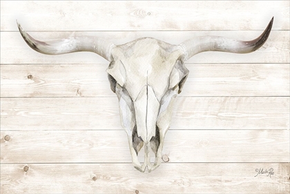 Picture of COW SKULL