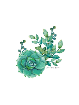 Picture of SUCCULENT PLANT III