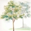 Picture of WOODLAND TREES IV  