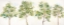 Picture of WOODLAND TREES PANEL LANDSCAPE