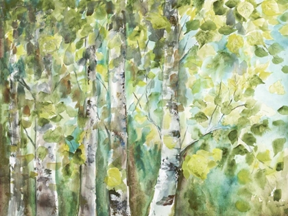 Picture of WATERCOLOR SUMMER ASPENS