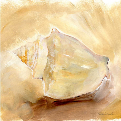 Picture of PAINTED SEASHELLS I 