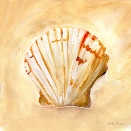 Picture of PAINTED SEASHELLS II 