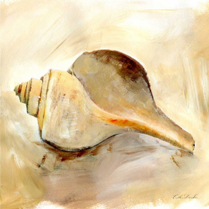 Picture of PAINTED SEASHELLS III 