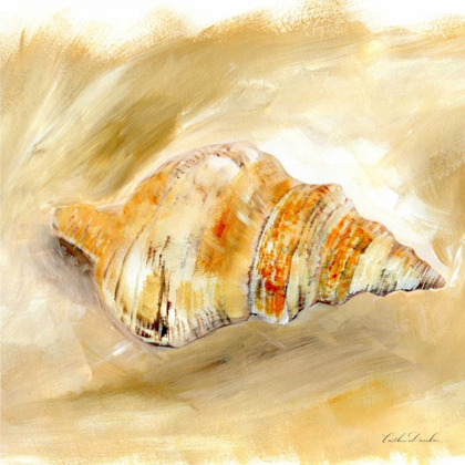 Picture of PAINTED SEASHELLS IV 