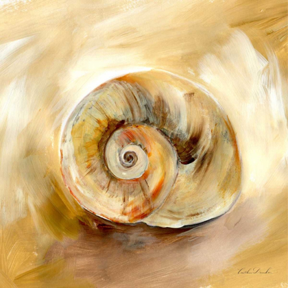 Picture of PAINTED SEASHELLS V 