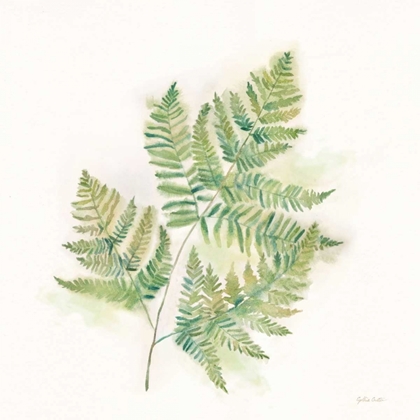 Picture of MODERN FERNS I