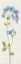 Picture of AIRY BLUES I