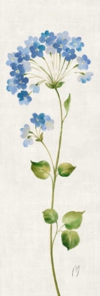 Picture of AIRY BLUES II