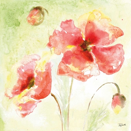 Picture of PALE PINK POPPIES I
