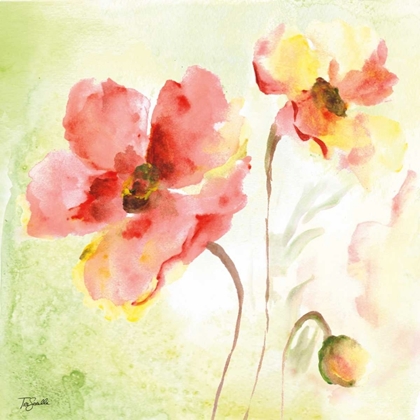 Picture of PALE PINK POPPIES II