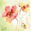 Picture of PALE PINK POPPIES II