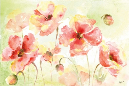 Picture of PALE PINK POPPIES LANDSCAPE