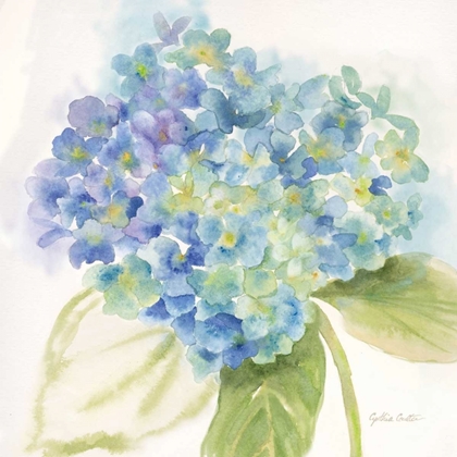 Picture of PAINTED HYDRANGEAS II