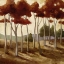 Picture of SPICE LANDSCAPE I