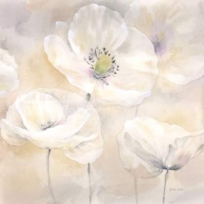 Picture of WHITE POPPIES I