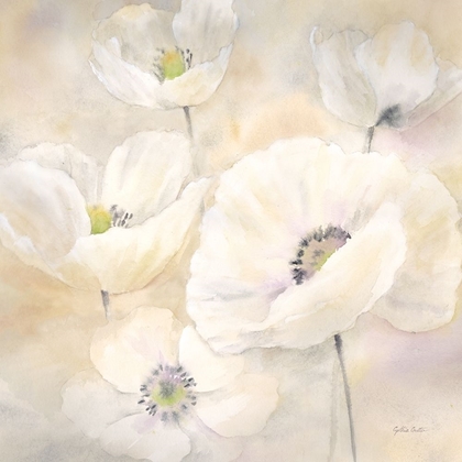 Picture of WHITE POPPIES II  