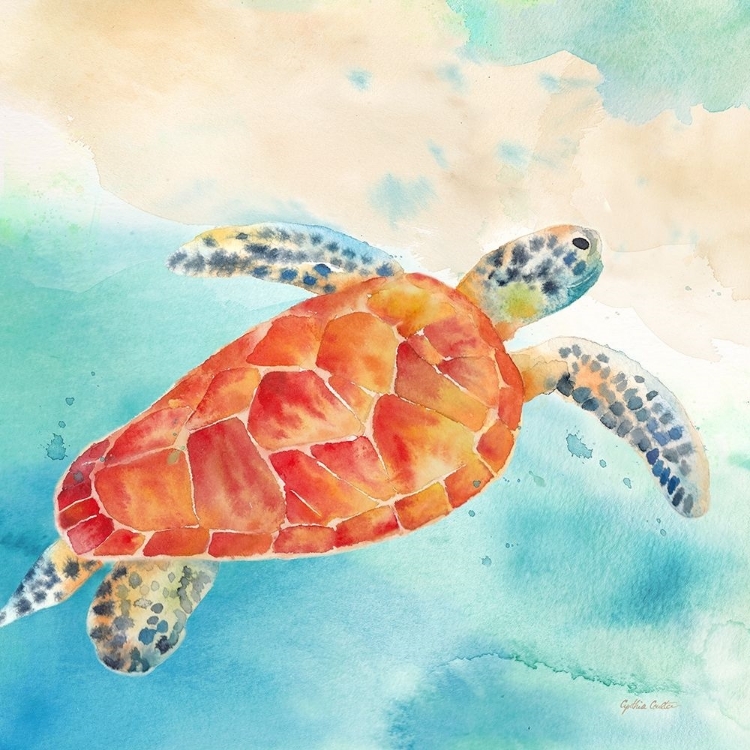 Picture of SEA SPLASH SEA TURTLE  