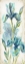 Picture of WATERCOLOR IRIS PANEL REV I