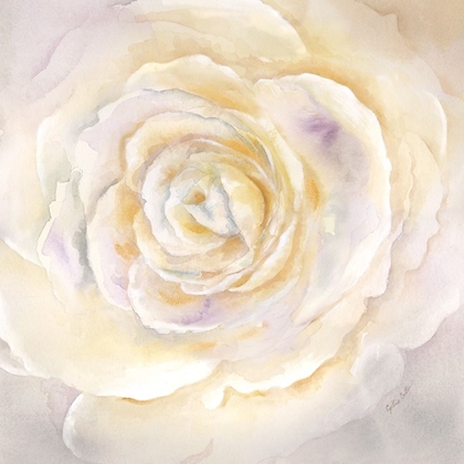 Picture of WATERCOLOR ROSE CLOSEUP I