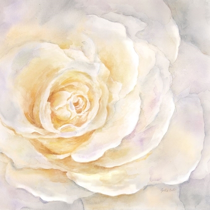 Picture of WATERCOLOR ROSE CLOSEUP II