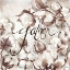 Picture of COTTON BOLL TRIPTYCH SENTIMENT II (GATHER)
