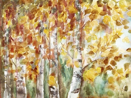 Picture of WATERCOLOR FALL ASPENS