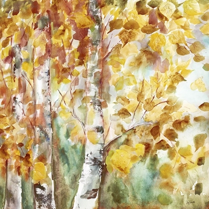 Picture of WATERCOLOR FALL ASPENS SQUARE