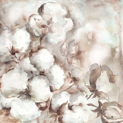 Picture of COTTON BOLL TRIPTYCH I