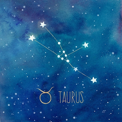 Picture of STAR SIGN TAURUS