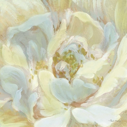 Picture of CLASSIC FLORAL STUDY I