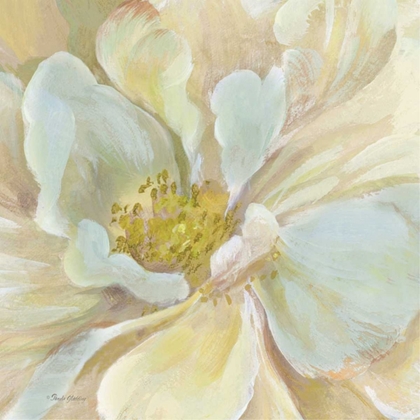 Picture of CLASSIC FLORAL STUDY II