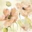 Picture of WATERCOLOR BLUSH II
