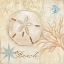 Picture of NAUTICAL SHELLS IV