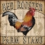 Picture of COUNTRY ROOSTER I