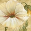 Picture of PRIMAVERA III