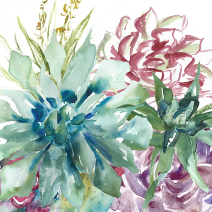 Picture of SUCCULENT GARDEN WATERCOLOR II