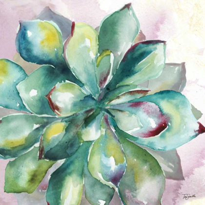 Picture of SUCCULENT WATERCOLOR I