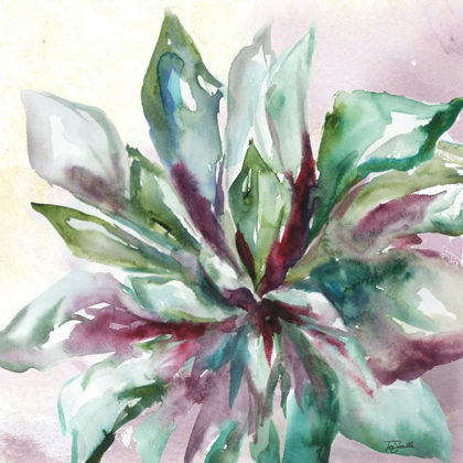 Picture of SUCCULENT WATERCOLOR II 