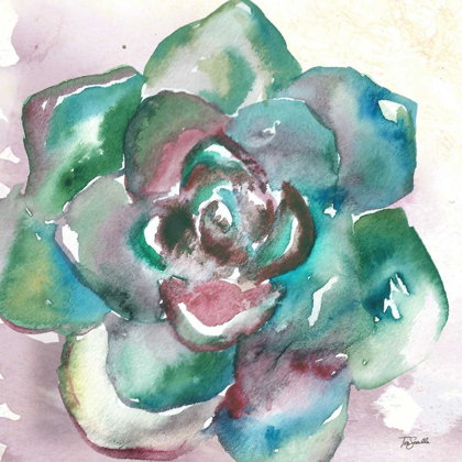Picture of SUCCULENT WATERCOLOR IV
