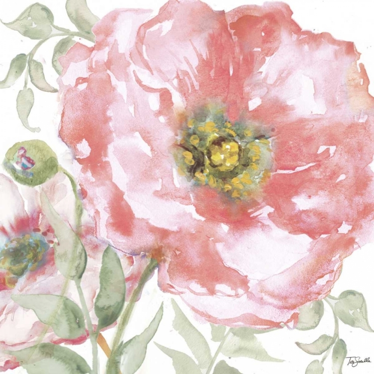 Picture of POPPY ROMANCE II