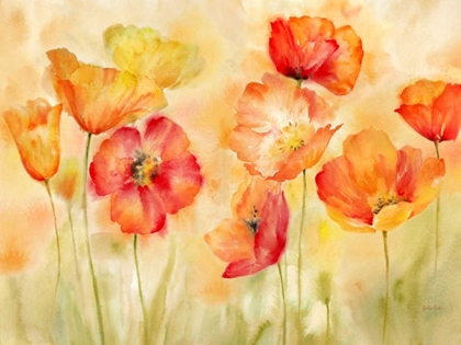 Picture of WATERCOLOR POPPY MEADOW SPICE LANDSCAPE