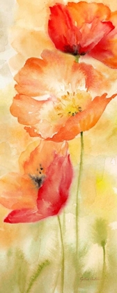 Picture of WATERCOLOR POPPY  MEADOW SPICE PANEL II