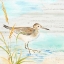 Picture of SANDPIPER BEACH I