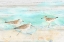 Picture of SANDPIPER BEACH LANDSCAPE