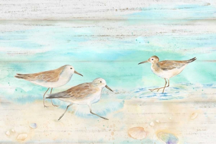 Picture of SANDPIPER BEACH LANDSCAPE