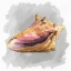 Picture of SHELLS ON GREY II