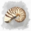 Picture of SHELLS ON GREY III