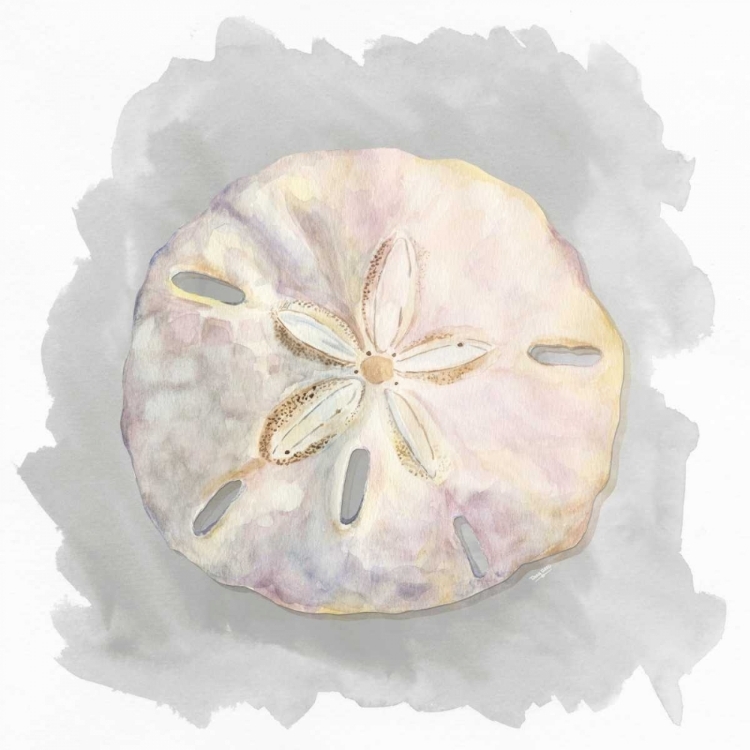 Picture of SHELLS ON GREY IV